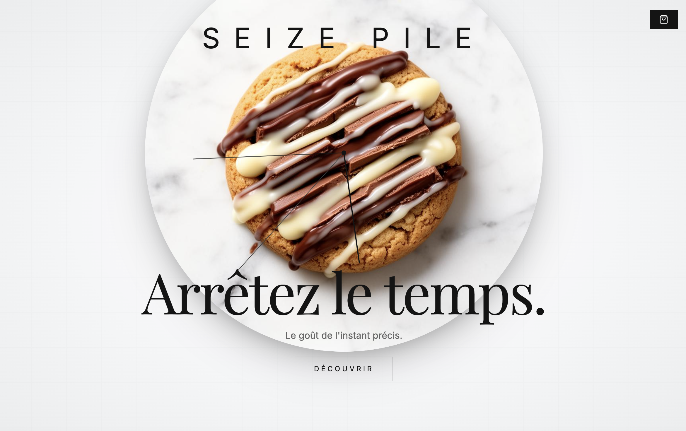Capture du site Seizepile